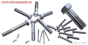 供應(yīng):316L 外六角螺栓,華人螺絲網(wǎng)提供各種供應(yīng):316L 外六角螺栓報價、價格、生產(chǎn)廠家、供應(yīng)商-興化齊力得五金制品