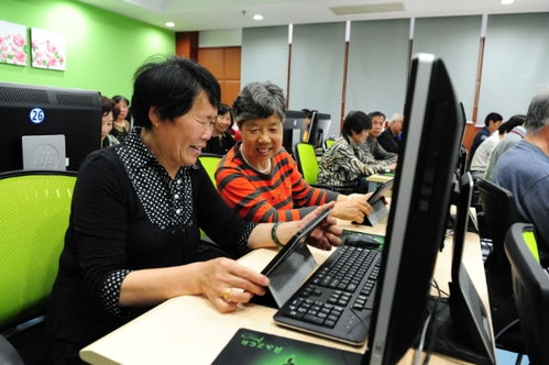 聚焦五大功能，賈煒為上海學(xué)習(xí)型城市建設(shè)注入高質(zhì)量教育咨詢服務(wù)新動(dòng)能